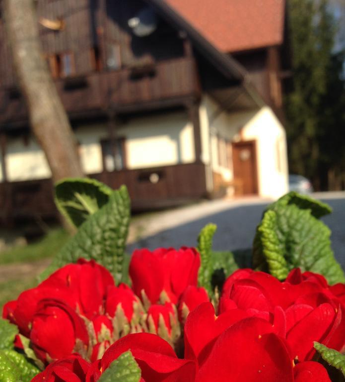 Pomona Relaxing Nature Guest House Рогашка-Слатіна Екстер'єр фото