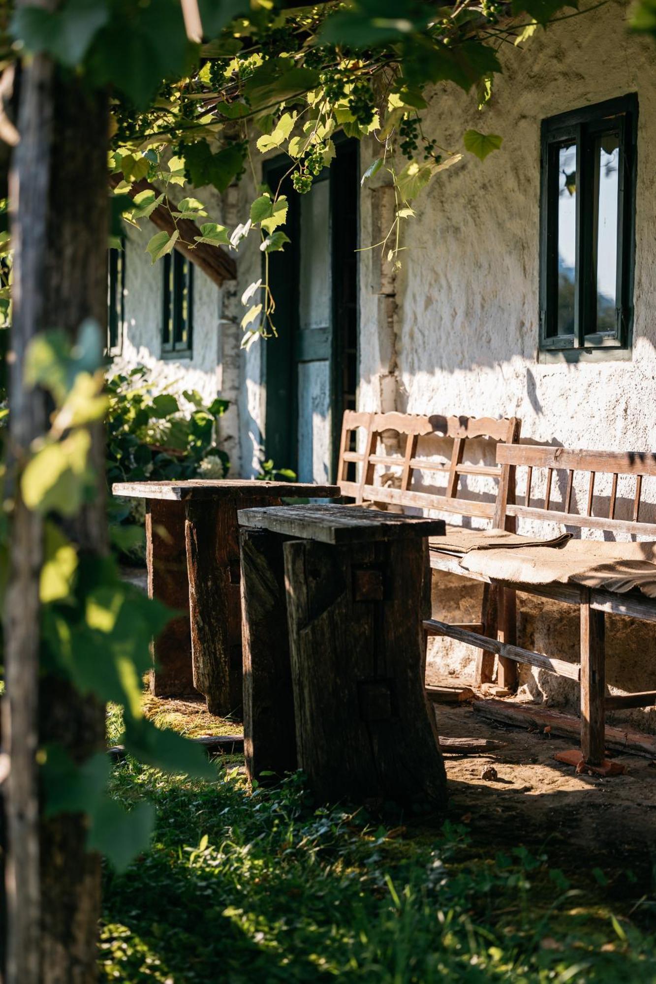 Pomona Relaxing Nature Guest House Рогашка-Слатіна Екстер'єр фото