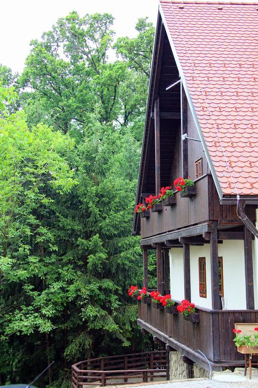 Pomona Relaxing Nature Guest House Рогашка-Слатіна Екстер'єр фото