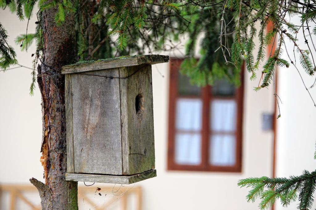 Pomona Relaxing Nature Guest House Рогашка-Слатіна Екстер'єр фото
